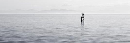 ckrattoz.vue banner