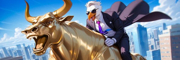 EnigmaFund Profile Banner