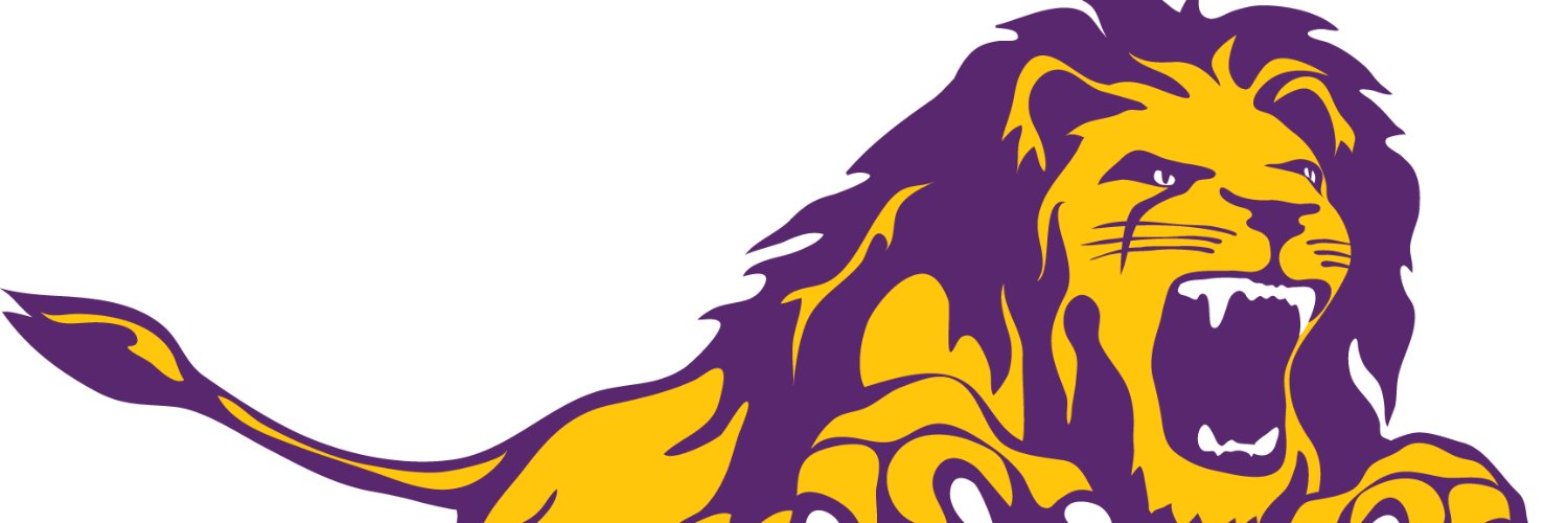 Monarch Basketball banner