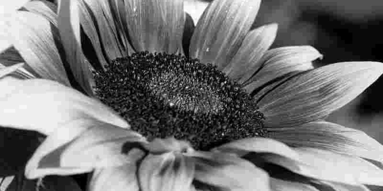 LAJ6387's profile banner image