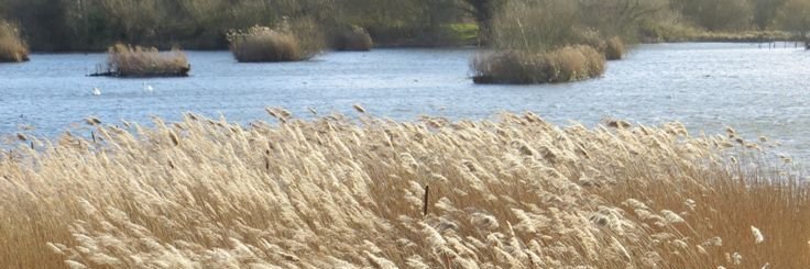 Still in B𝓁✿✿𝓂, banner