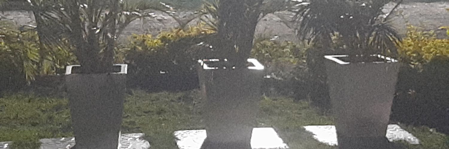 Branditsales's profile banner image