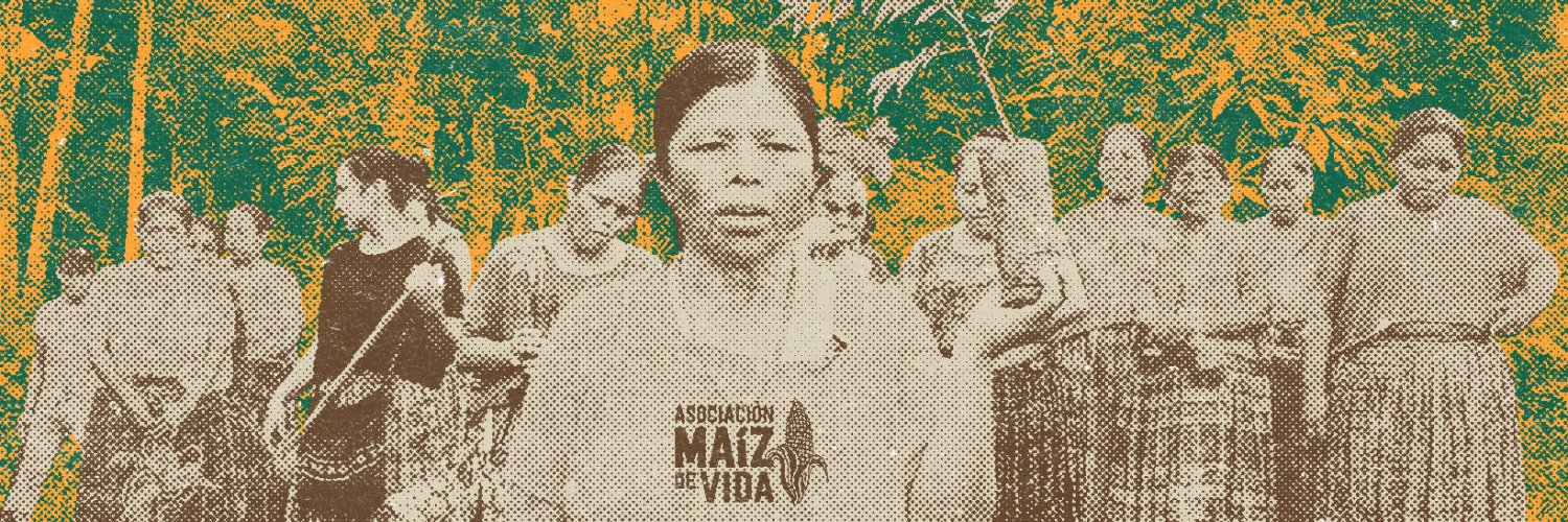 Maíz de Vida banner