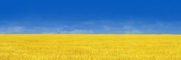 Ruslan21929127's profile banner image