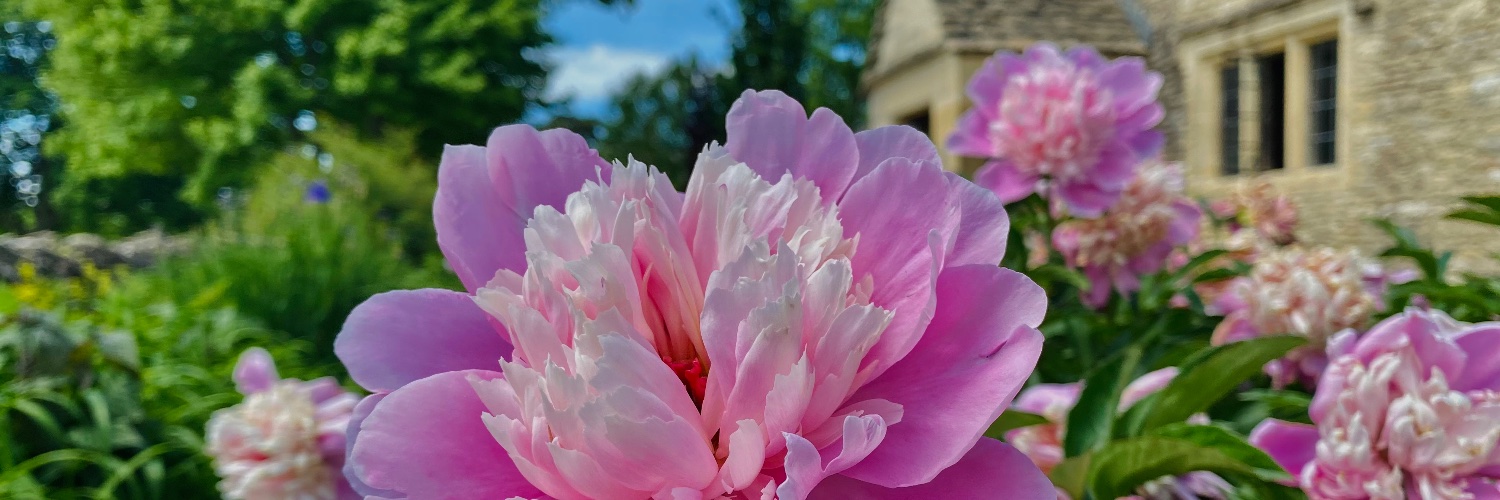 theresa08's profile banner image