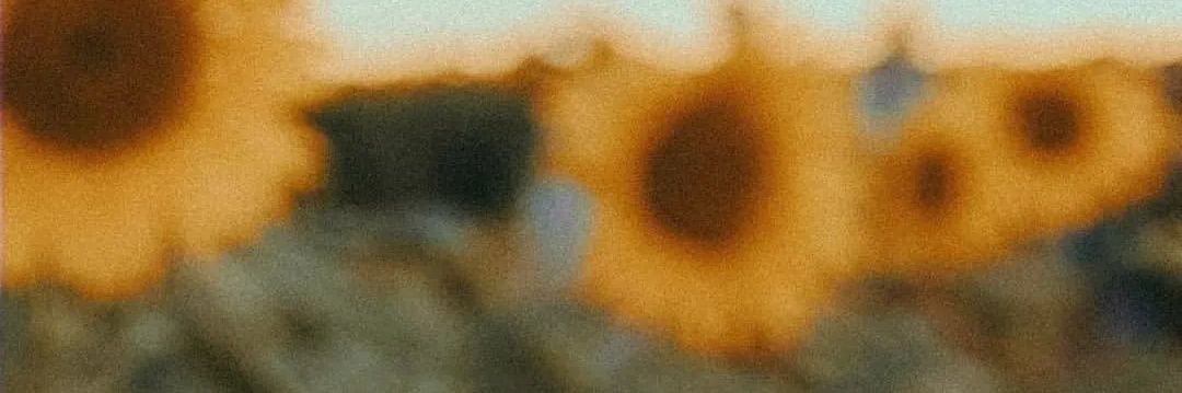 sonbolottib's profile banner image