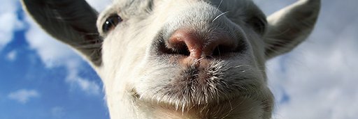 Daves_Reviews's profile banner image