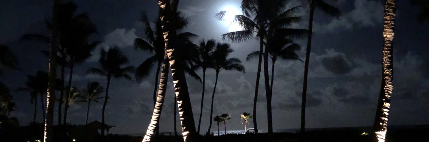 jsteubs14's profile banner image
