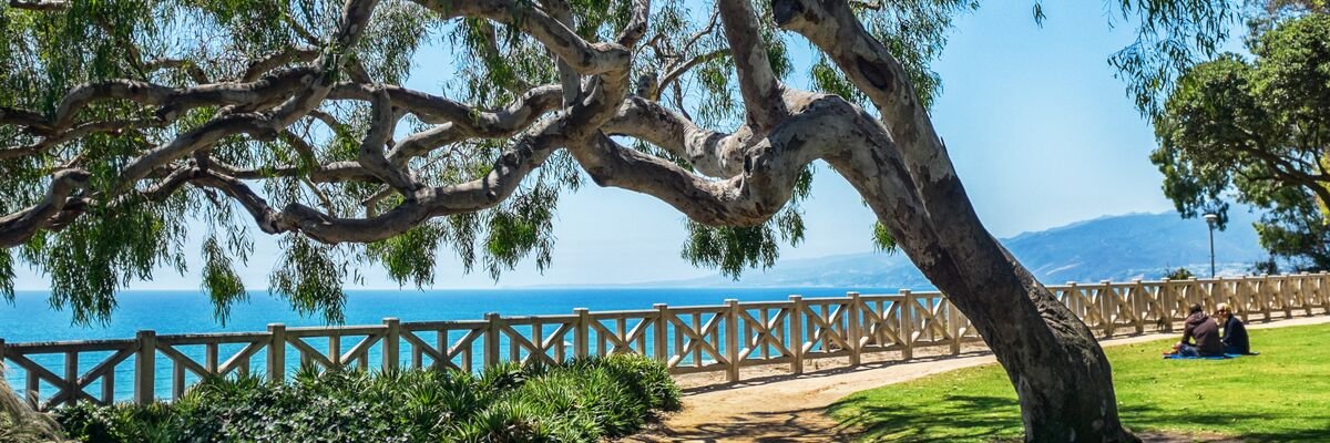 Kbot (Kristopher Webster) banner