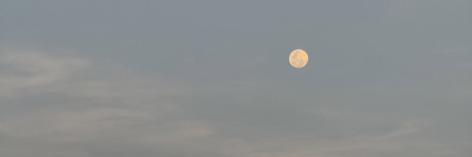 lialunarb's profile banner image
