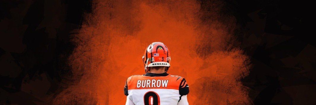 BurrowUpNext's profile banner image