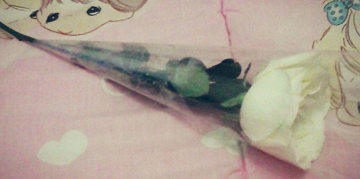feby restunengsih banner