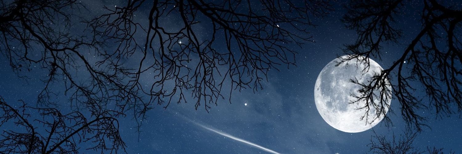 IngridEspinol14's profile banner image