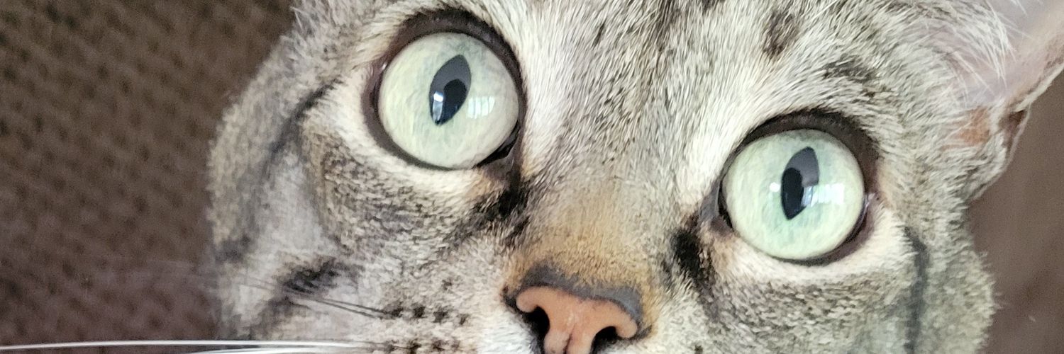 Nancy RHM 💙🇺🇸 banner