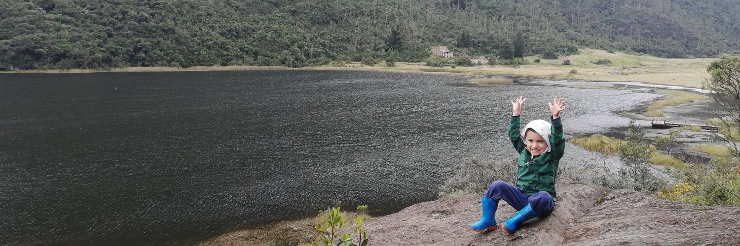 DianiVazquez's profile banner image