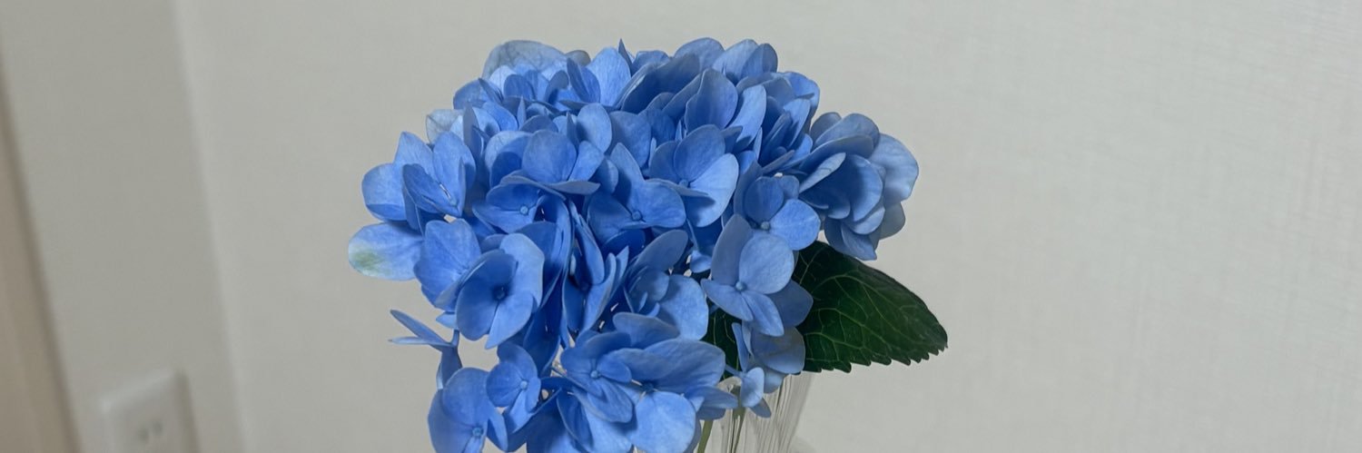 nnico_yy's profile banner image