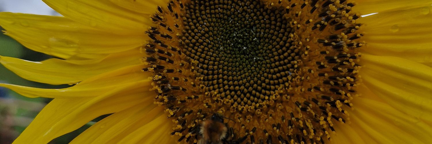 Miss_glance's profile banner image
