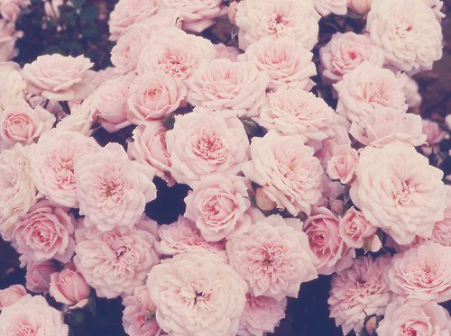 sy_marie's profile banner image