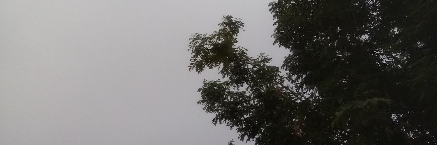 musaumbda's profile banner image