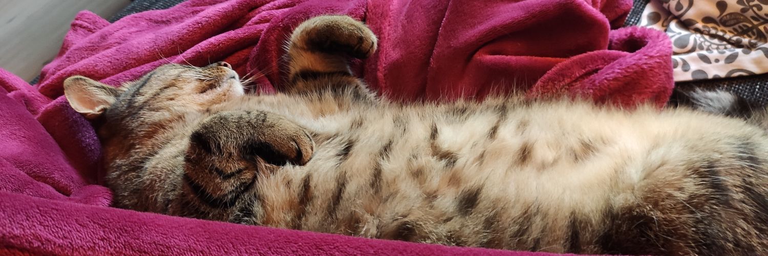 _pandakitten_'s profile banner image