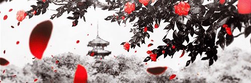 Y O N S H E banner