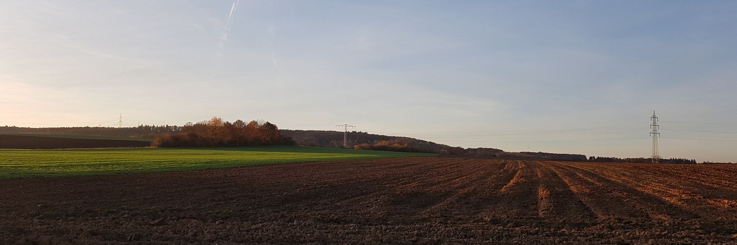 Daniel banner