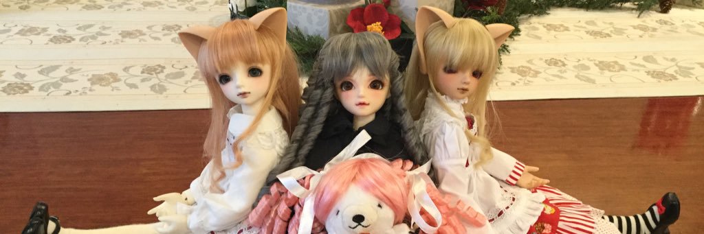 dt0290's profile banner image