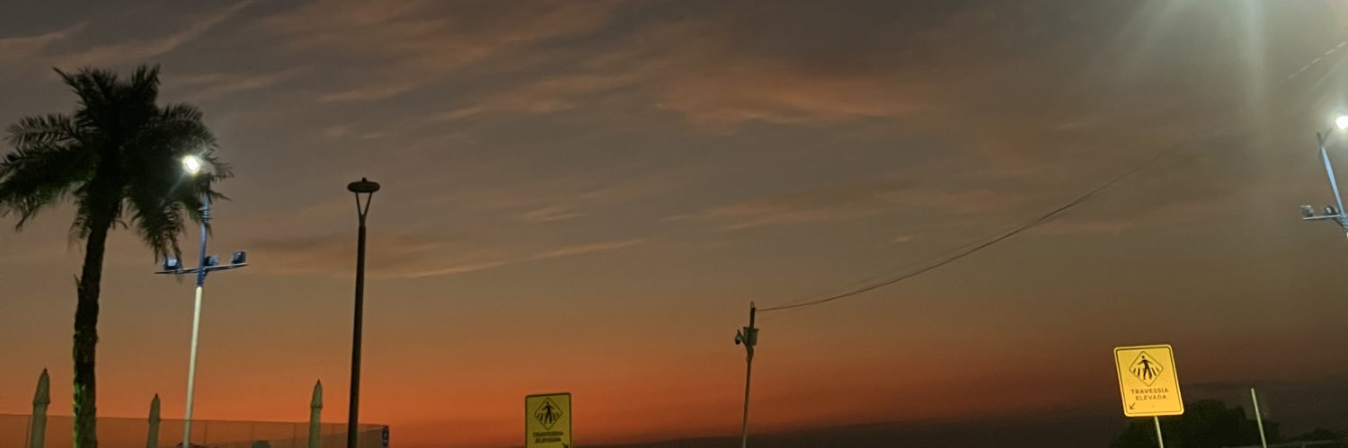 manufuchsl's profile banner image