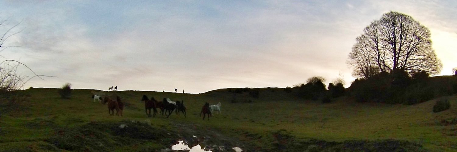 ricardbadia's profile banner image