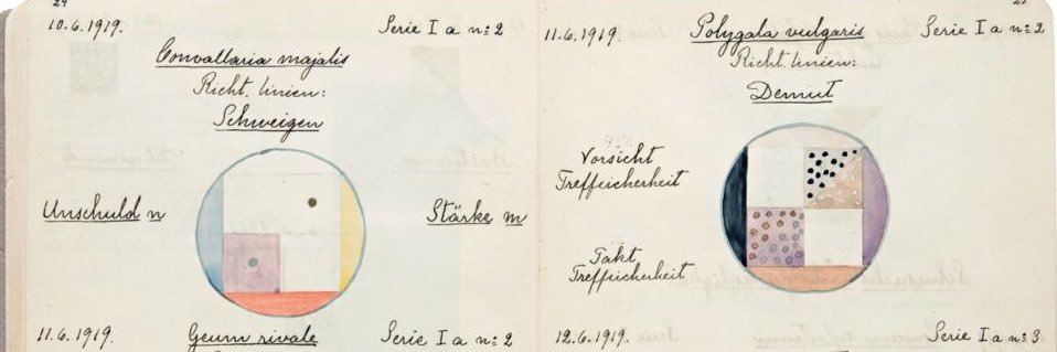 the magnificent ريما banner