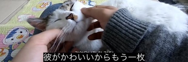我们不可能什么也没有 banner