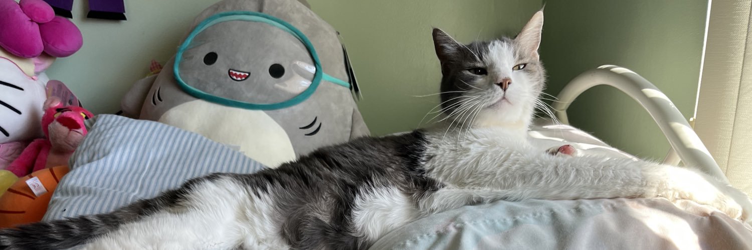 🫀vampire slit🫀 banner