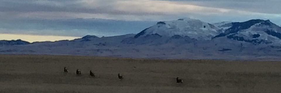 Erik Sietsema: Gentleman? Scholar? Daredevil! banner