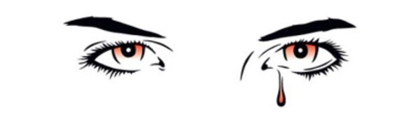 SnifflyPanda Profile Banner