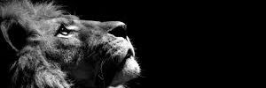 Deavion_1's profile banner image