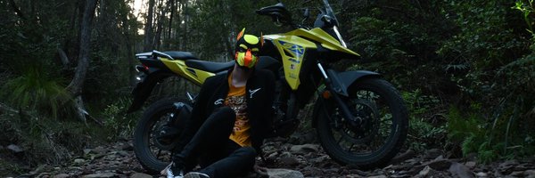 BigYellowPupper Profile Banner
