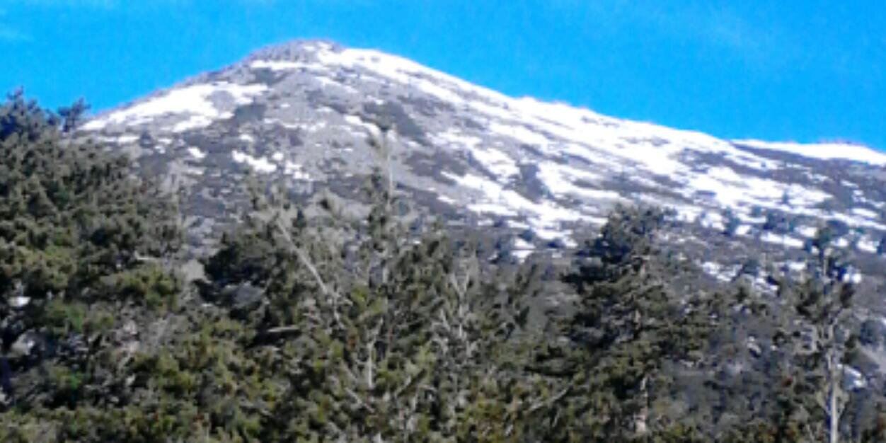 Ivan Menendez 🐺 banner