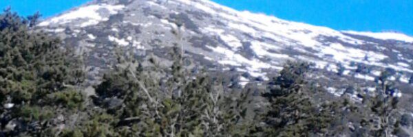 ivan_bdp Profile Banner