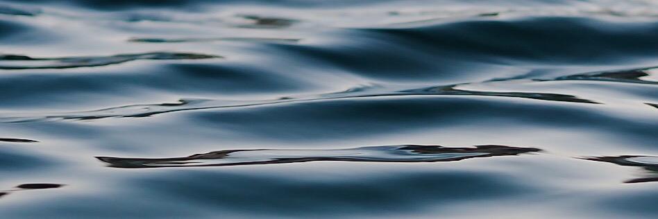 Fi_Shep (She/Her) banner