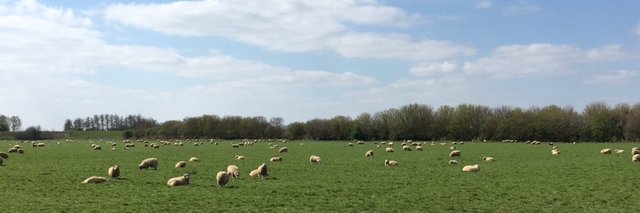 Harry Winslet - Future Farming banner