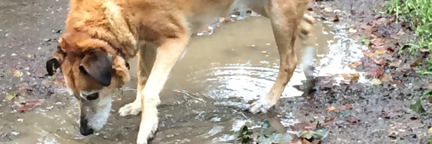 lslymrs's profile banner image
