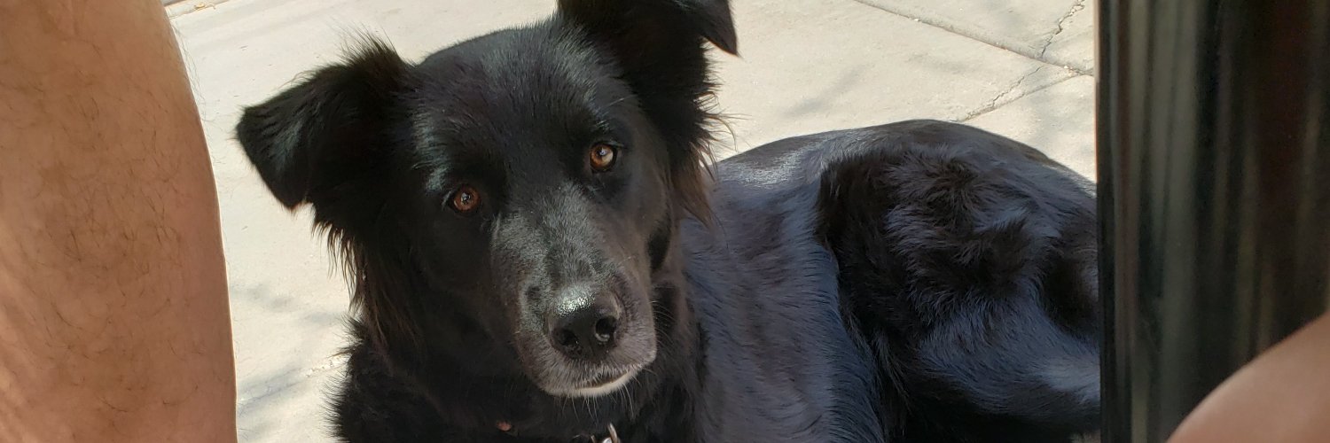 KellyCaffero's profile banner image