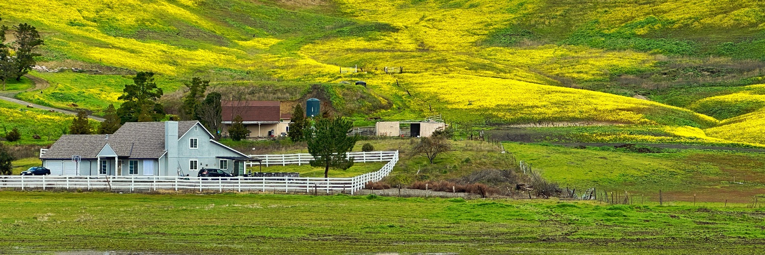 Chinmay A. Singh banner