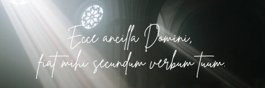 Kayla Kessinger banner