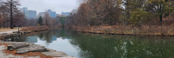 MahsaDolatshah1 Profile Banner