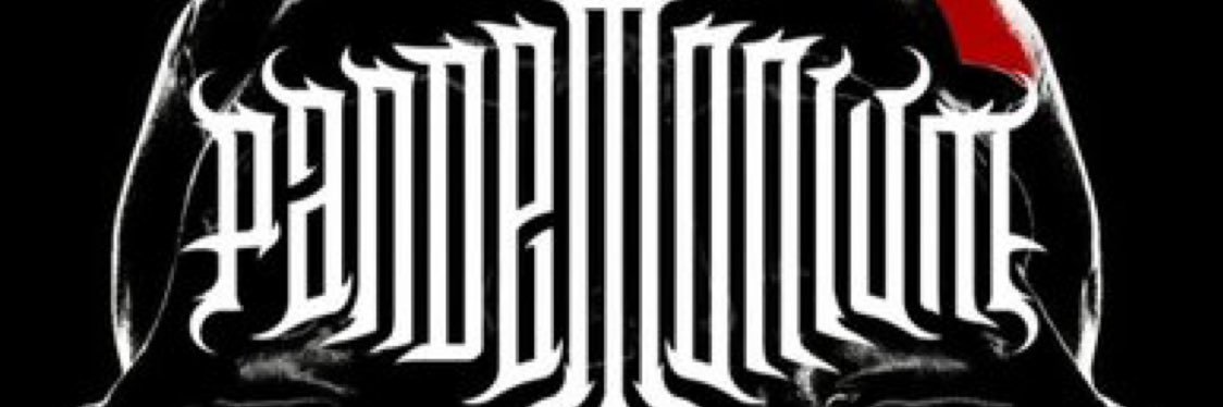 swann banner