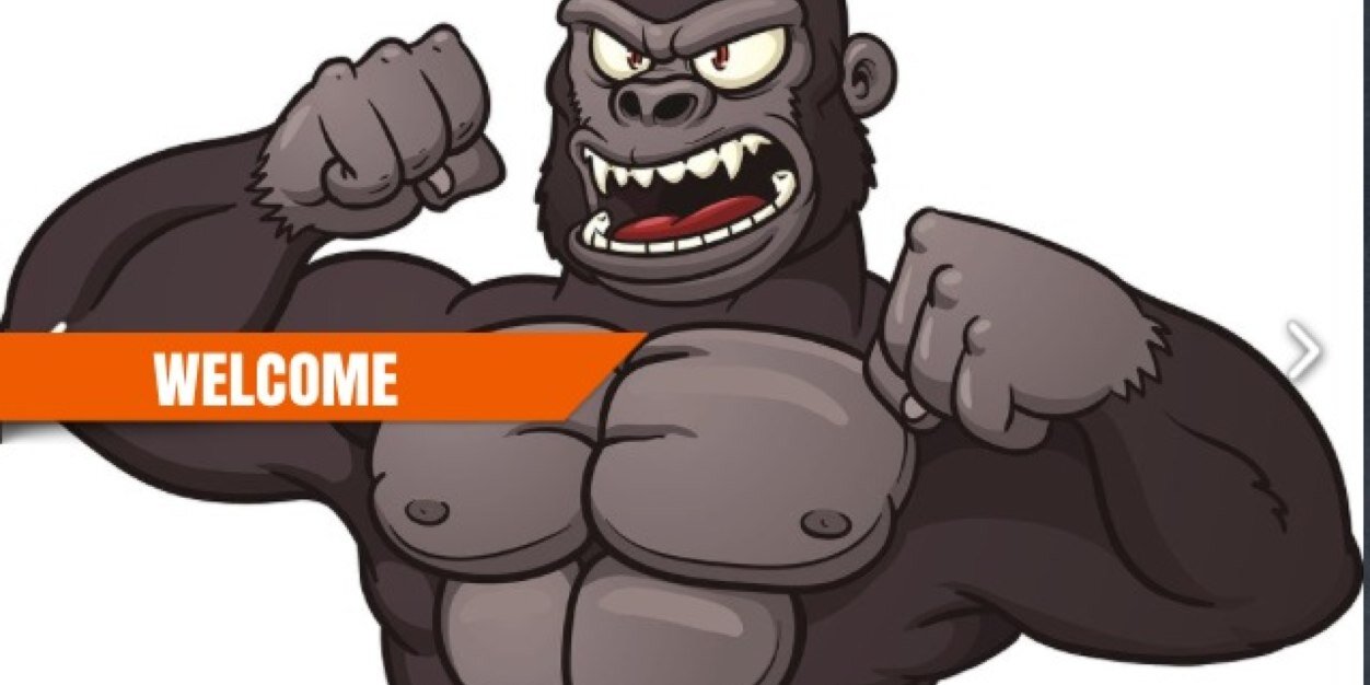 5roundsMMA's profile banner image