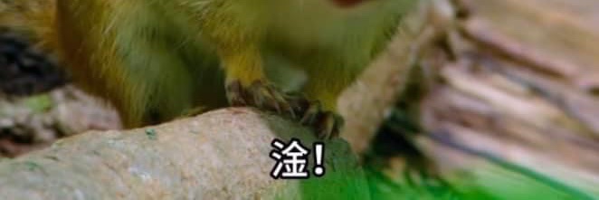 三峽在地板躺的人 banner