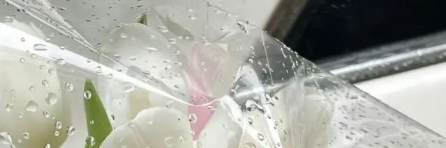 FANSIGN CUT + APPLY ♡ banner