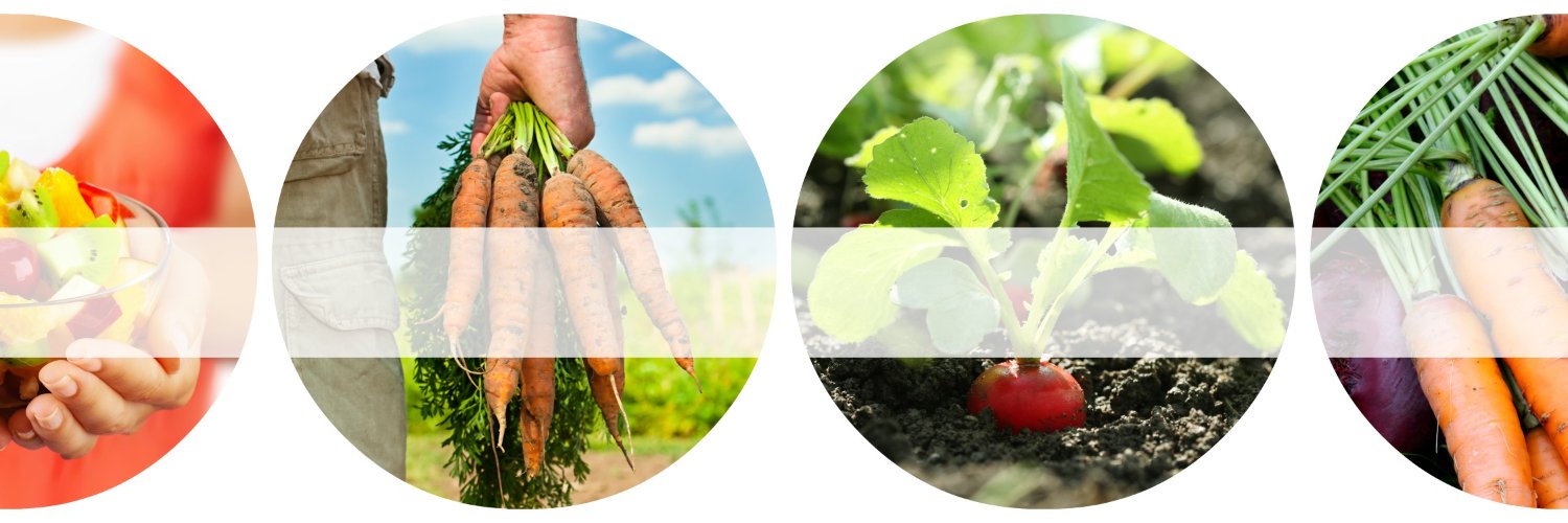 Sue Petersen | Clinical Nutritionist banner